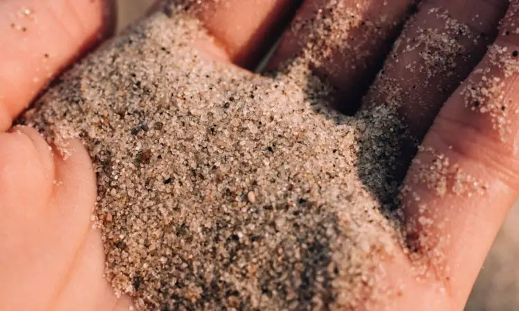 Can you Use Normal Sand in your Aquarium?