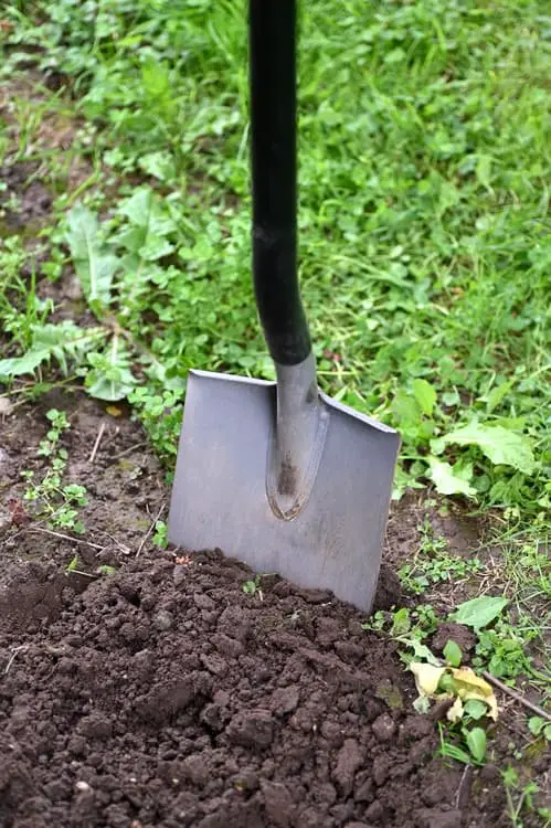 Garden Soil