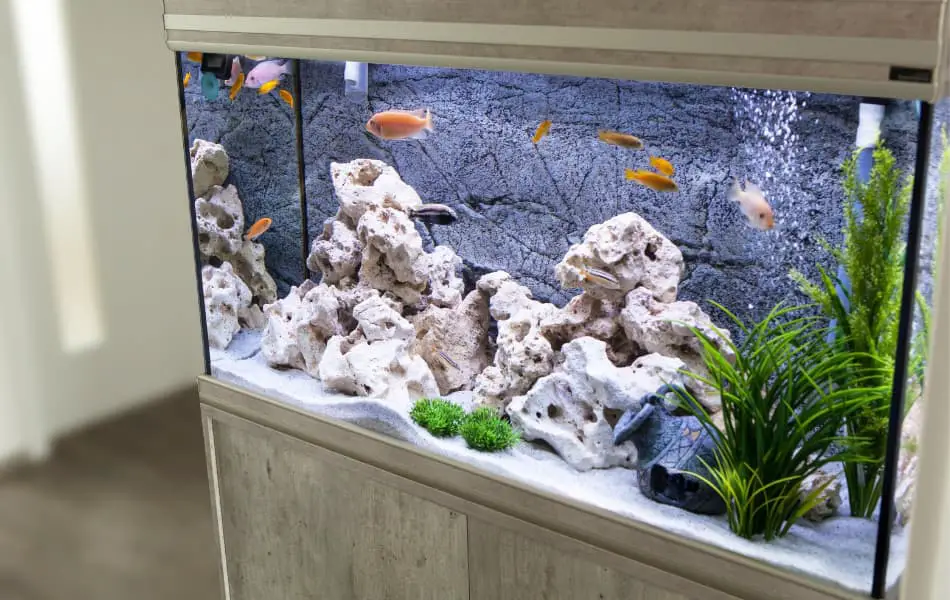 Aquarium Stand
