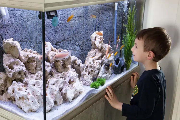 Child Aquarium