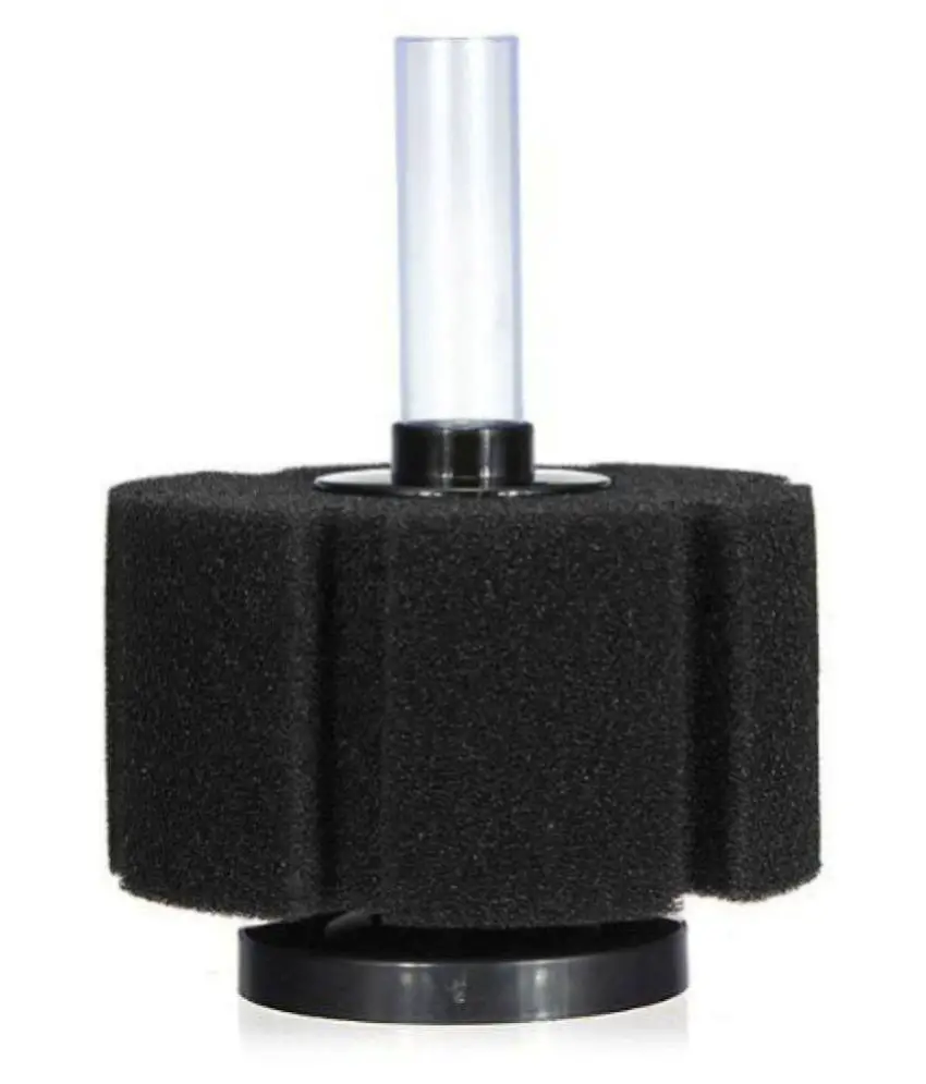 Aquarium Equipment The Basics Aquarium Hack