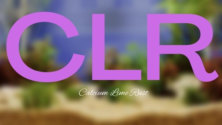 Can You Use CLR on an Aquarium?