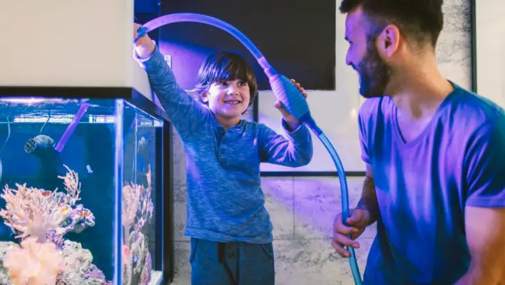 Family siphoning water from a reef tank