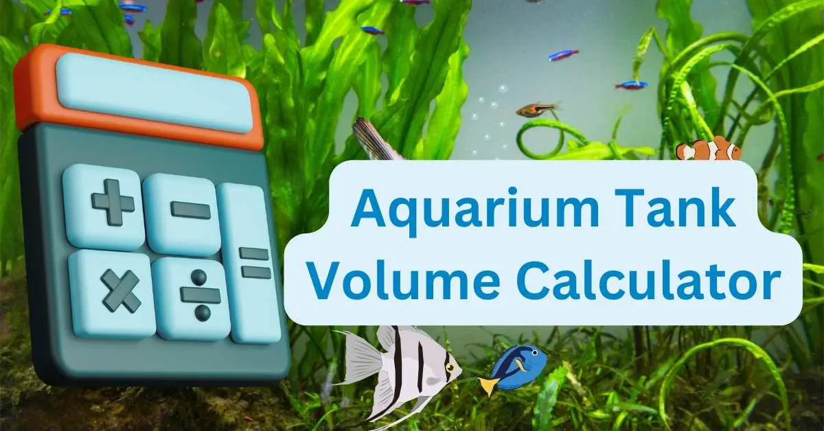 Aquarium Volume Calculator Easy to Use