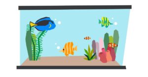 tank space for angelfish